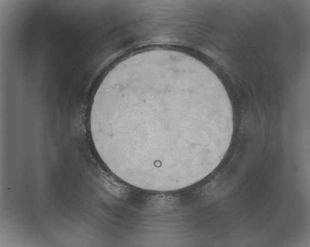 X0000073411314200608040948