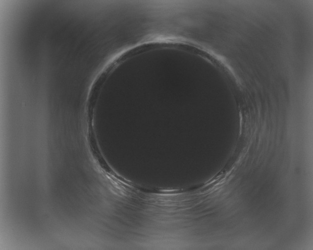 X0000073411319200608040948