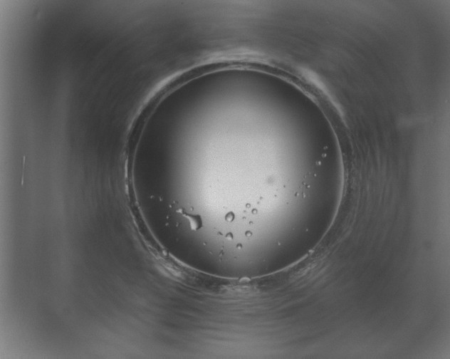 X0000073411320200608040948