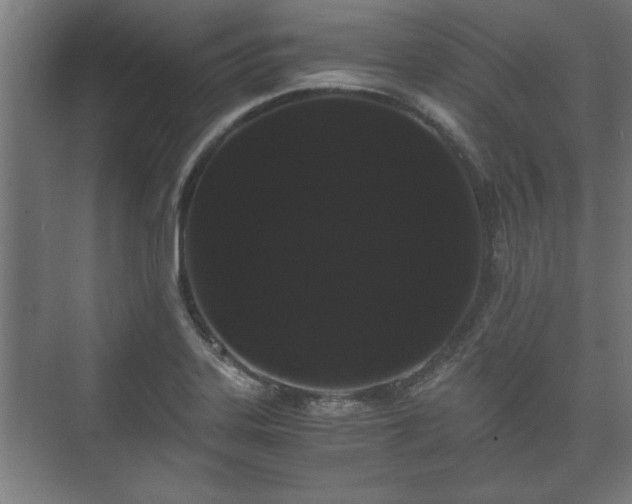 X0000073411323200608040948