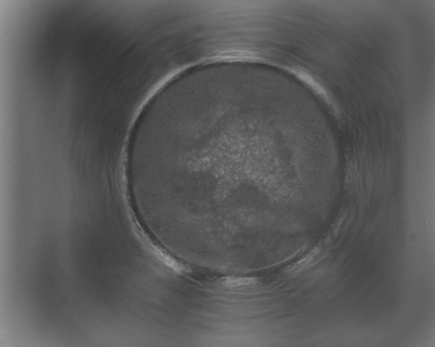 X0000073411325200608040948