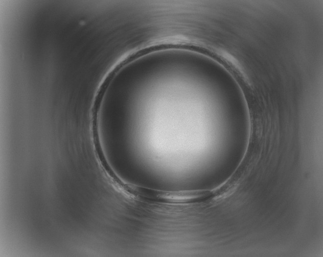 X0000073411326200608040948