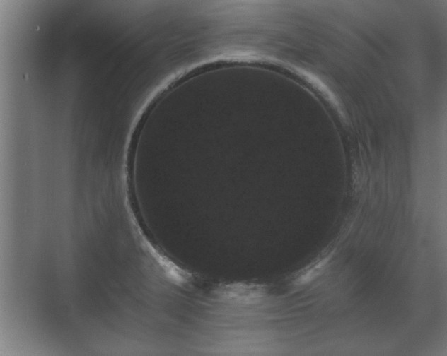 X0000073411327200608040948