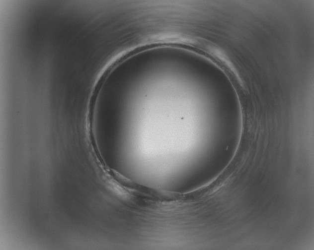 X0000073411328200608040948