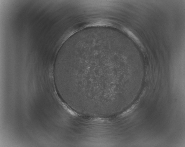 X0000073411329200608040948