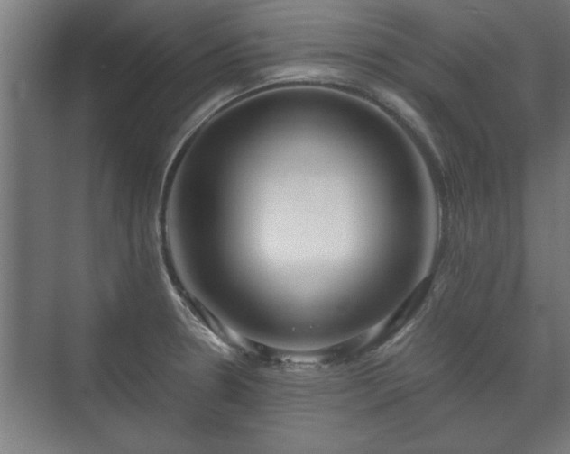 X0000073411330200608040948