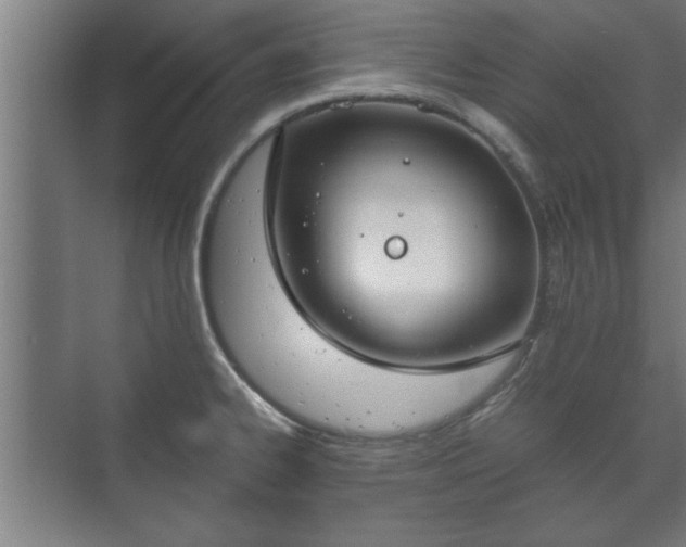 X0000073411334200608040948