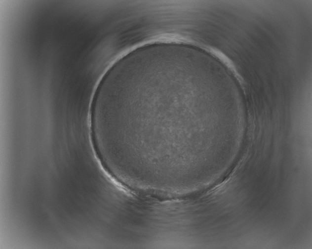 X0000073411335200608040948