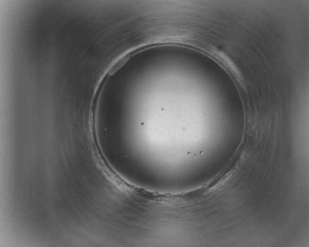 X0000073411340200608040948