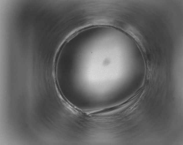 X0000073411342200608040948