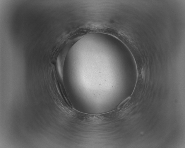 X0000073411348200608040948