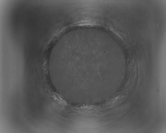 X0000073411351200608040948