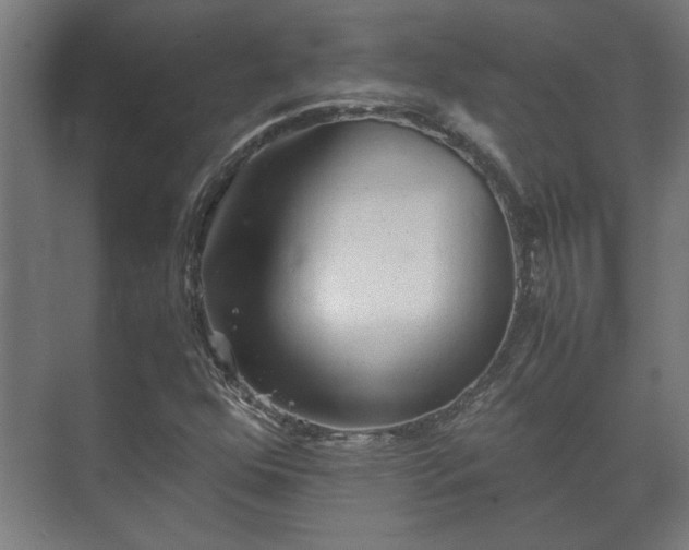 X0000073411352200608040948