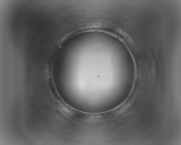 X0000073411353200608040948