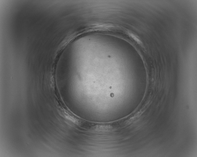 X0000073411354200608040948