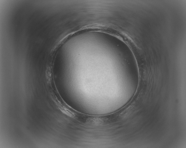 X0000073411355200608040947