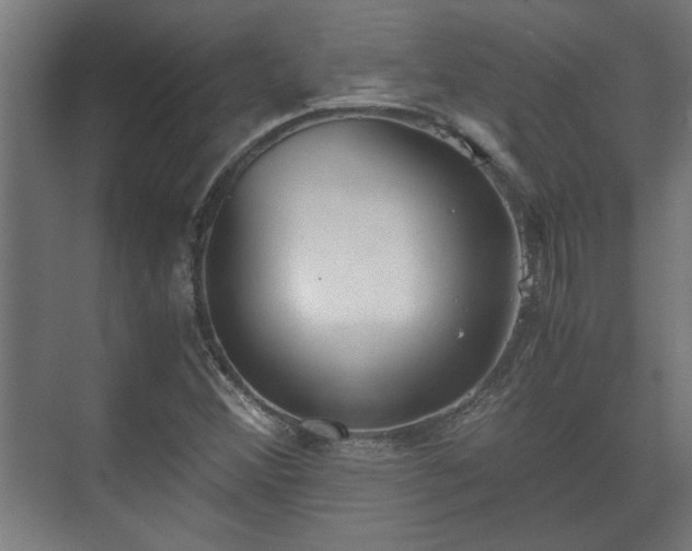 X0000073411356200608040947