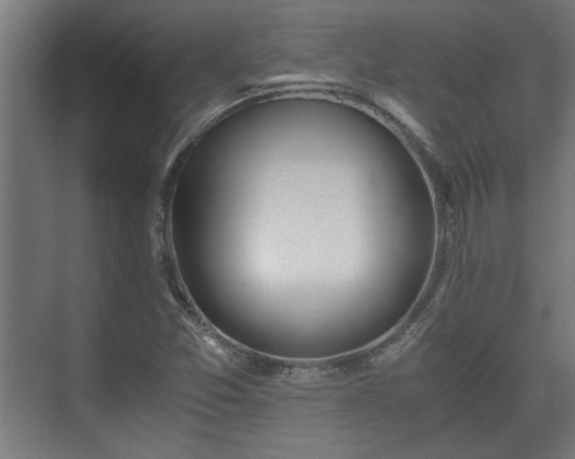 X0000073411357200608040947