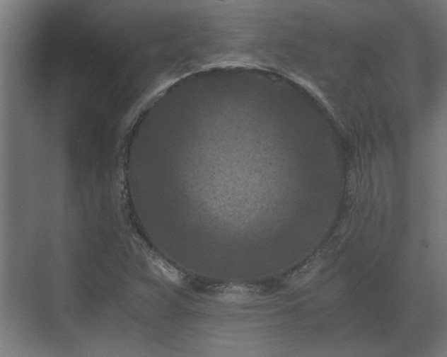 X0000073411359200608040947