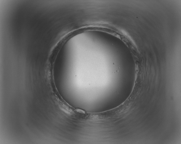 X0000073411360200608040947