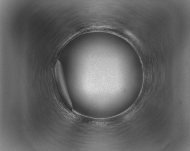 X0000073411361200608040947