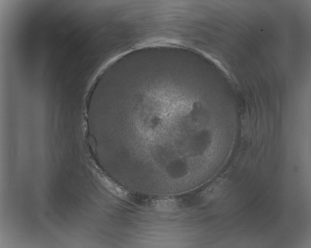 X0000073411363200608040947