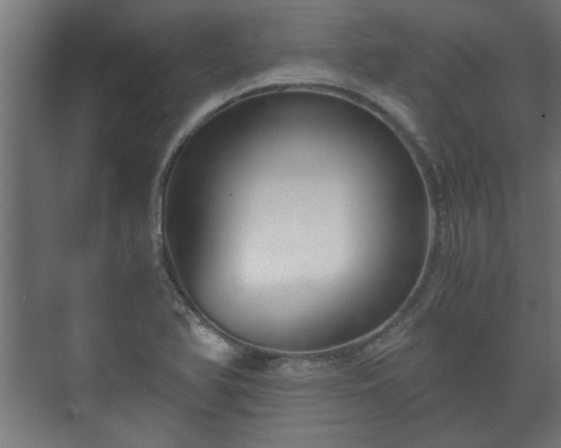 X0000073411366200608040947