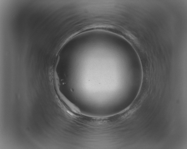 X0000073411369200608040947