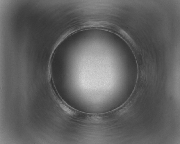 X0000073411370200608040947