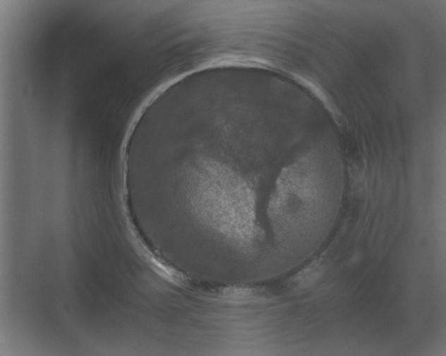 X0000073411371200608040947