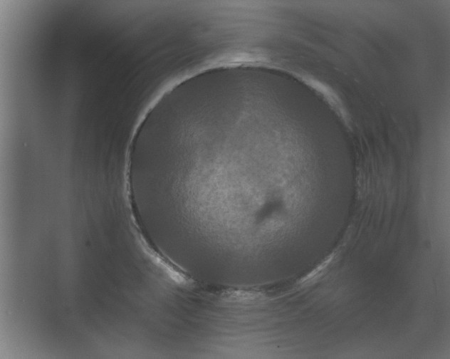 X0000073411374200608040947