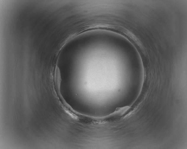 X0000073411377200608040947