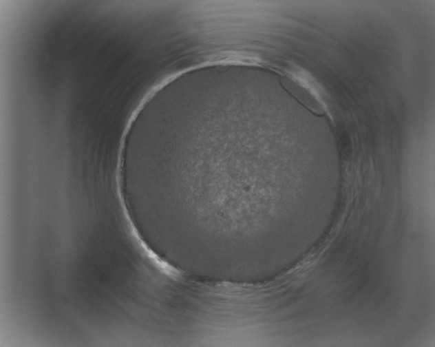 X0000073411379200608040947