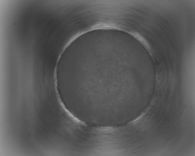 X0000073411382200608040947