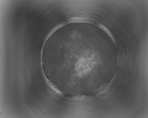 X0000073411386200608040947