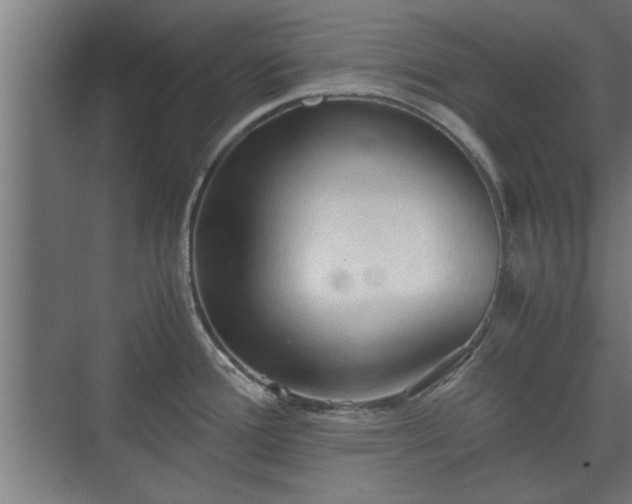 X0000073411388200608040947