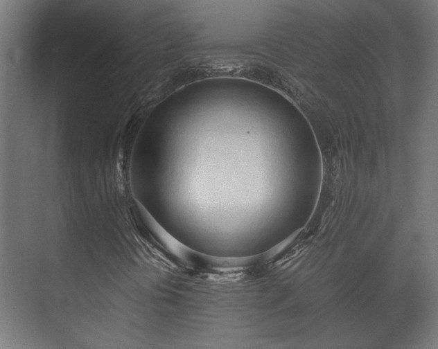 X0000073411394200608040946