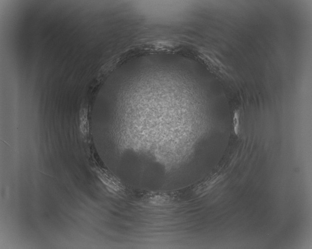 X0000073411395200608040946
