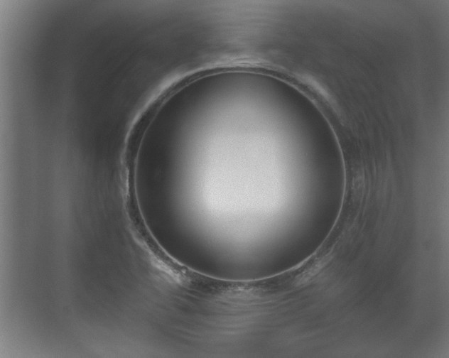 X0000073411414200608040946
