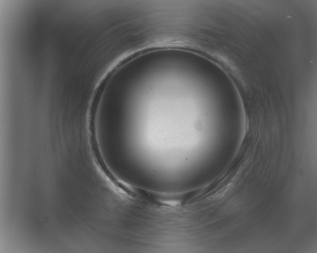 X0000073411422200608040947