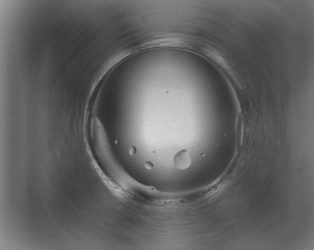 X0000073411426200608040947