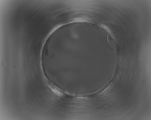 X0000073411427200608040947