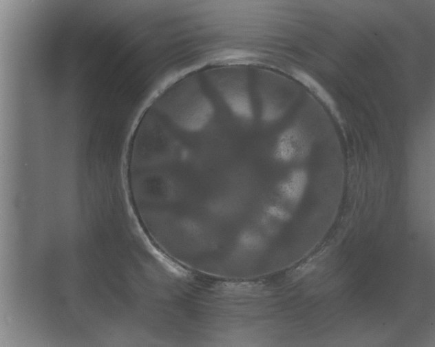 X0000073411429200608040947