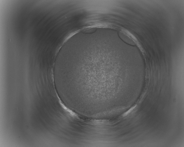 X0000073411433200608040947