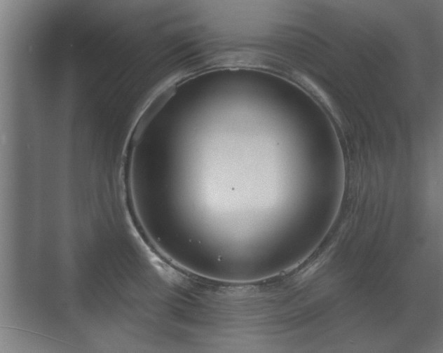 X0000073411434200608040947