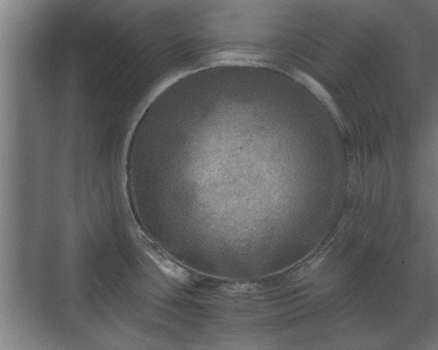 X0000073411435200608040947