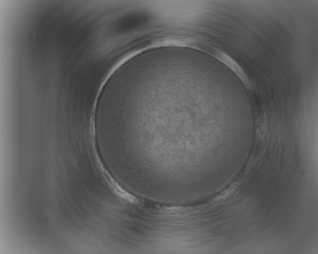 X0000073411436200608040947