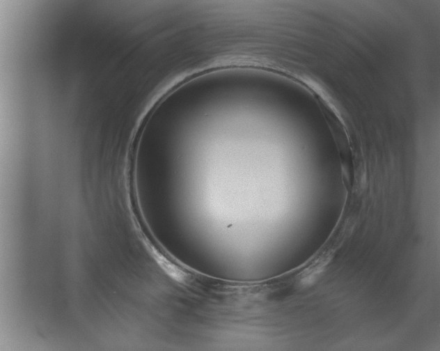 X0000073411438200608040947