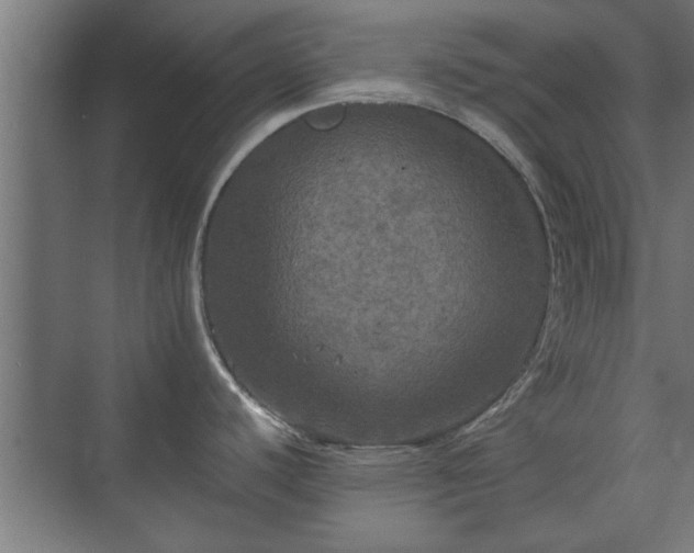 X0000073411440200608040947