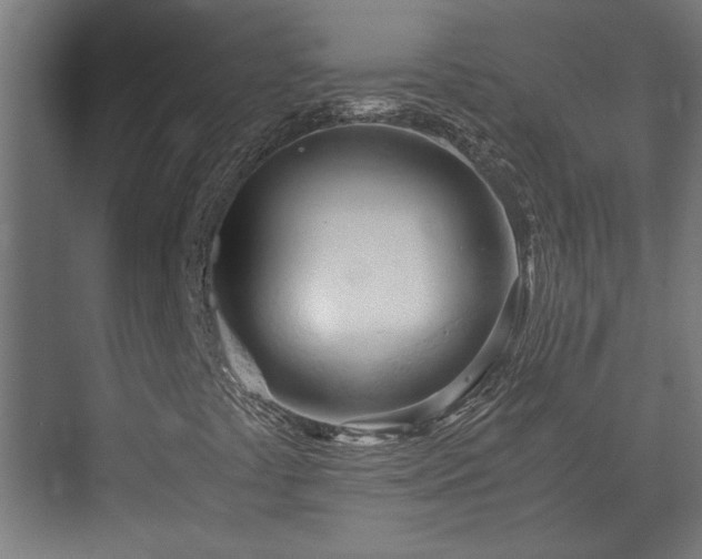 X0000073411441200608040946